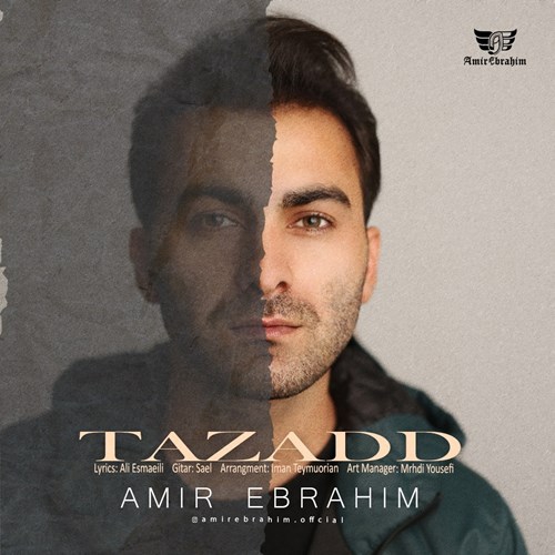 امیر ابراهیم تضاد